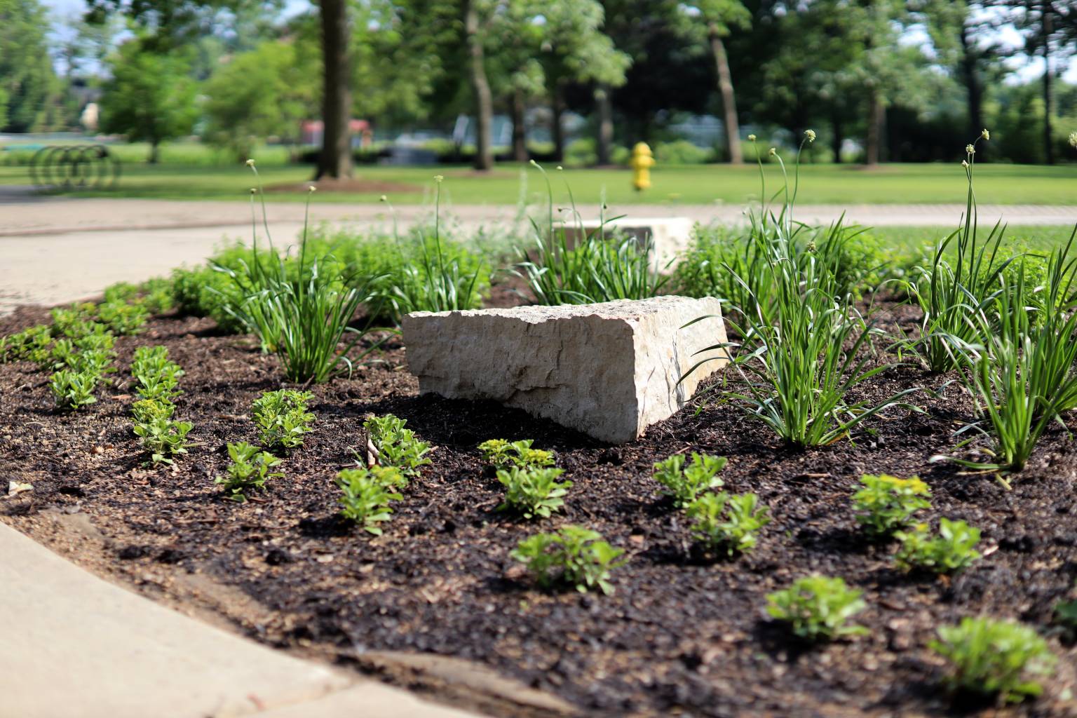 New public gardens to inspire and inform • Glen Ellyn Park District