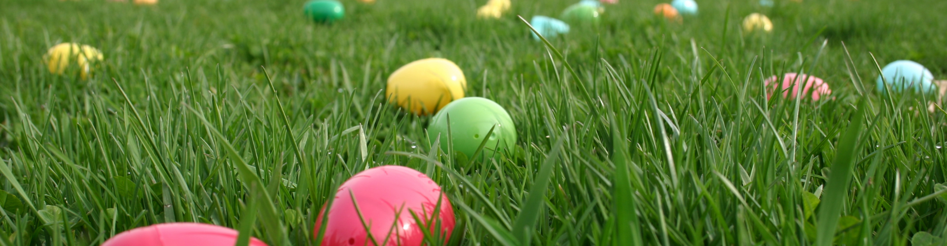 AdultsOnly Egg Hunt • Glen Ellyn Park District