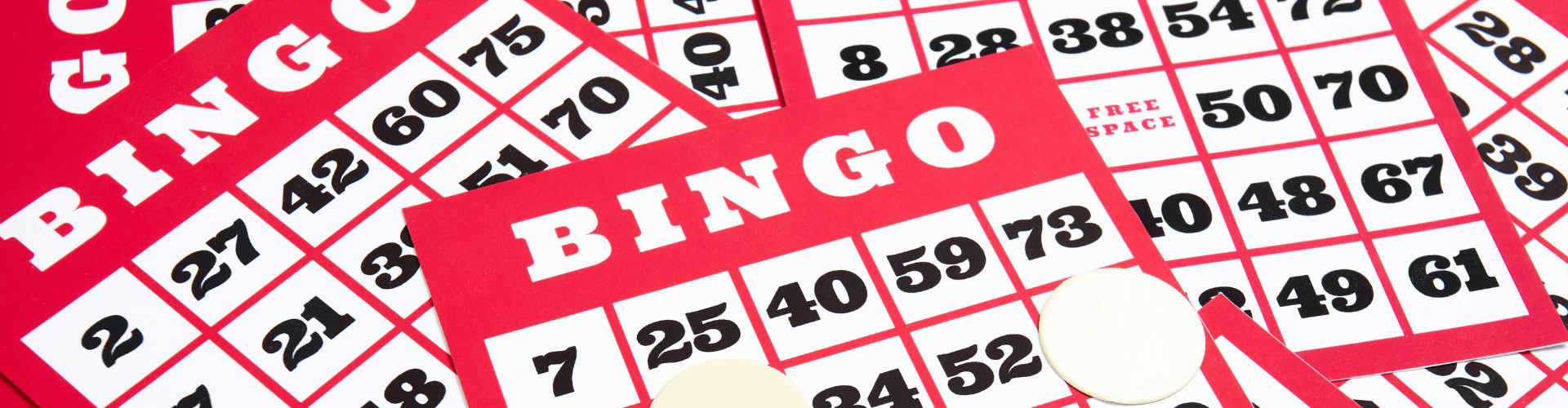 slider-family-bingo-night